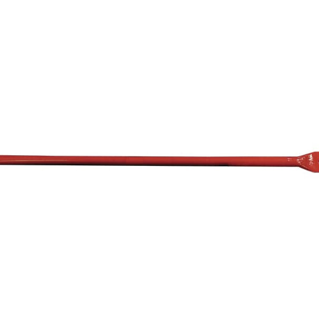 LARGE-LIFTING-LEVER-ANT